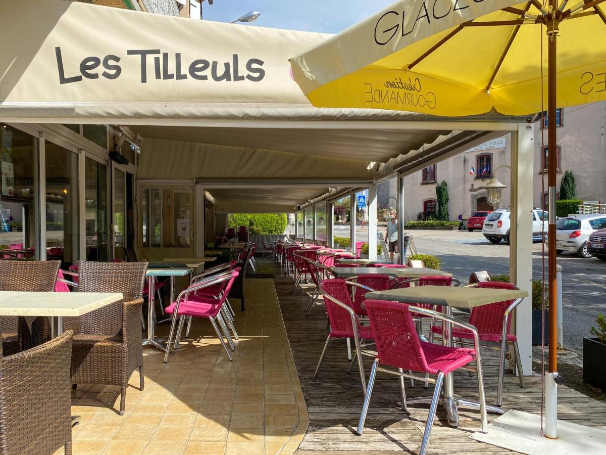 Hotel Les Tilleuls De Pareloup A Salles-Curan Екстер'єр фото