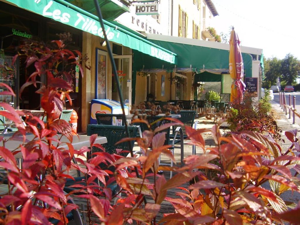 Hotel Les Tilleuls De Pareloup A Salles-Curan Екстер'єр фото